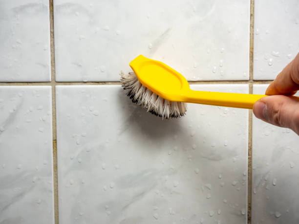 Best Black Mold Removal  in Gatesville, TX