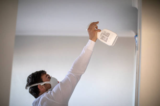 Best Office Mold Removal Services  in Gatesville, TX